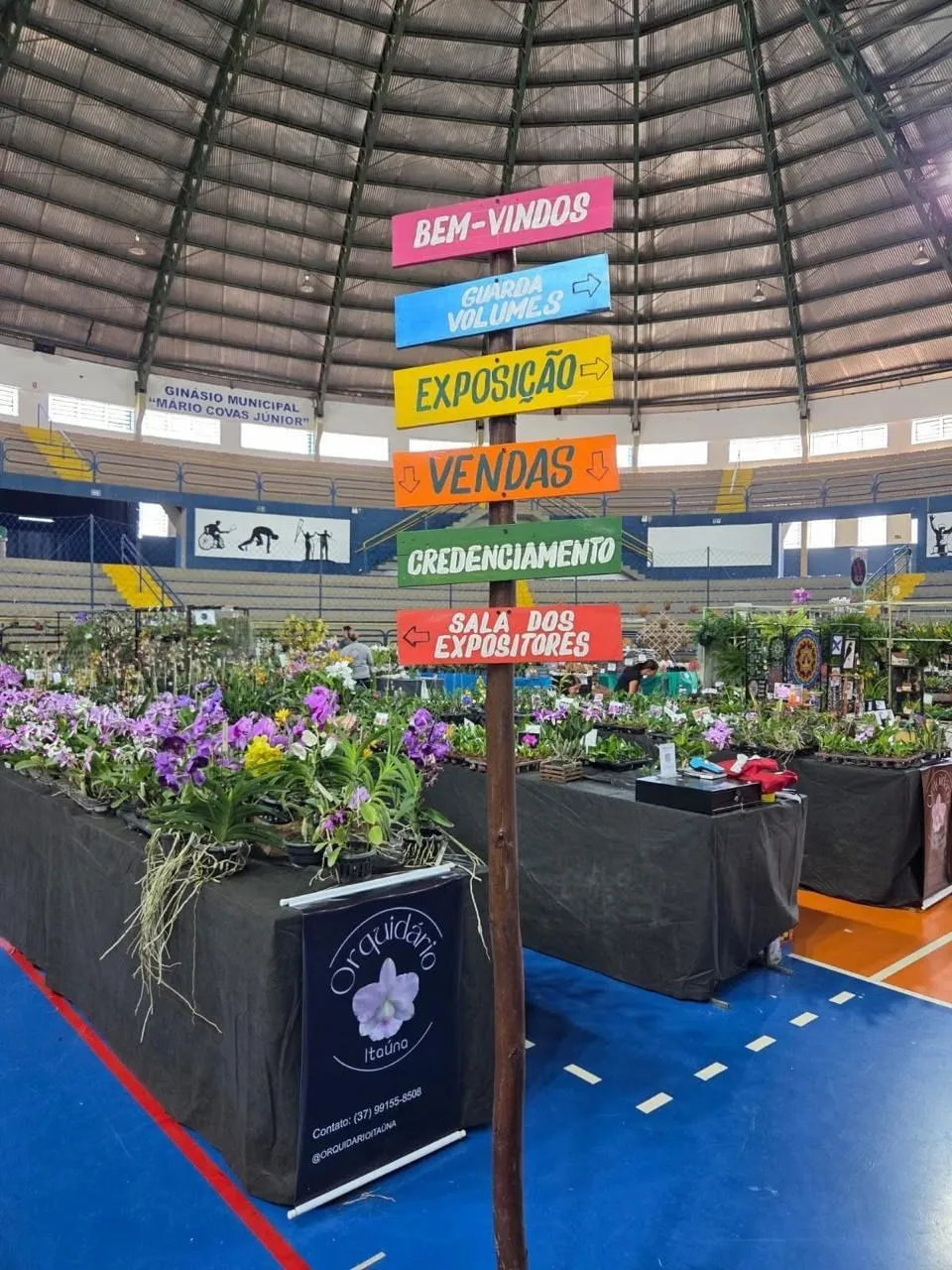Placas coloridas de sinalização (exposição, vendas, credenciamento) entre as bancadas de orquídeas no ginásio